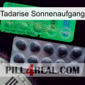 Tadarise Sunrise new04